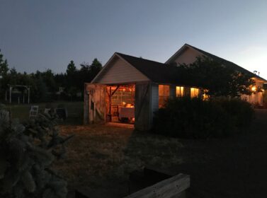 2020 shed